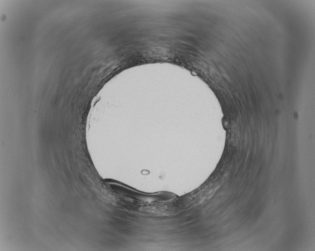 X0000088171201200706121617