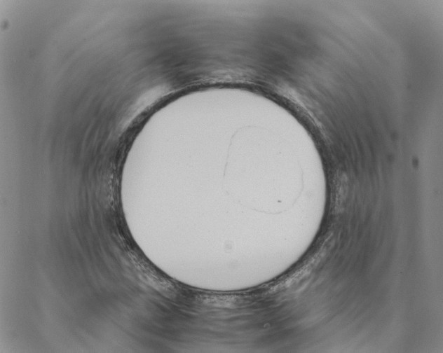 X0000088171211200706121617