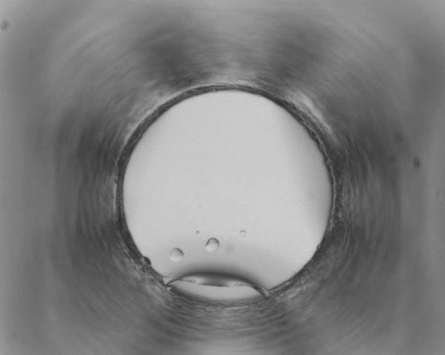 X0000088171268200706121617