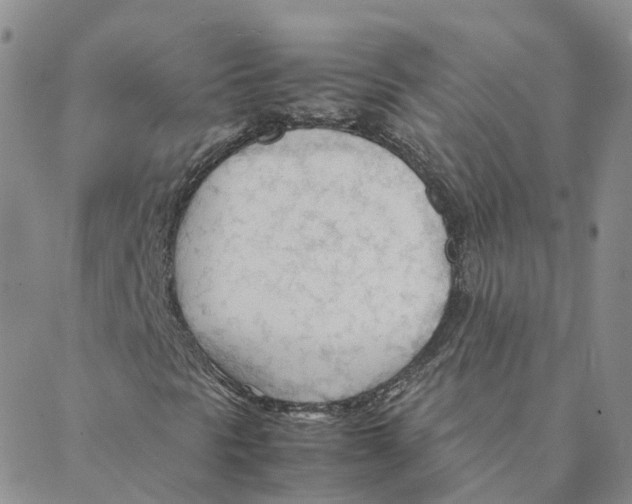 X0000088171297200706121616