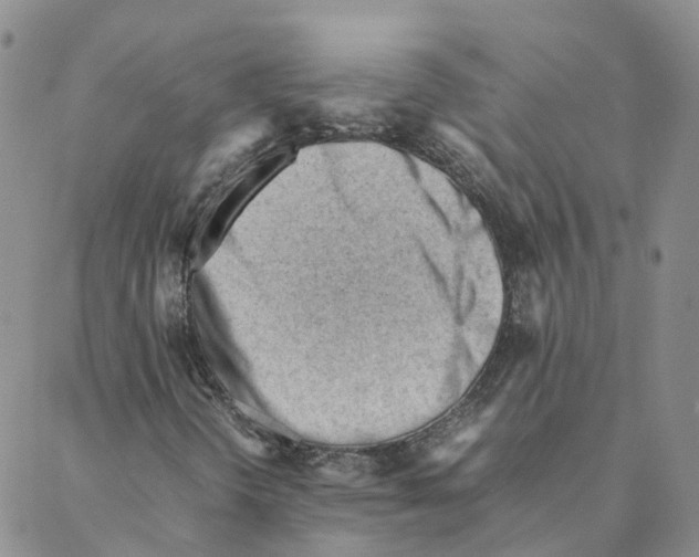 X0000088171298200706121616