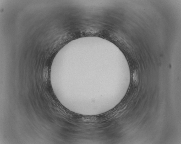 X0000088171299200706121616