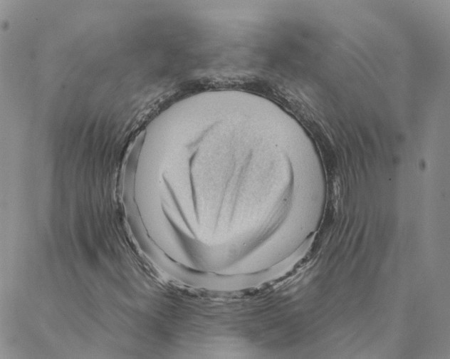 X0000088171300200706121616