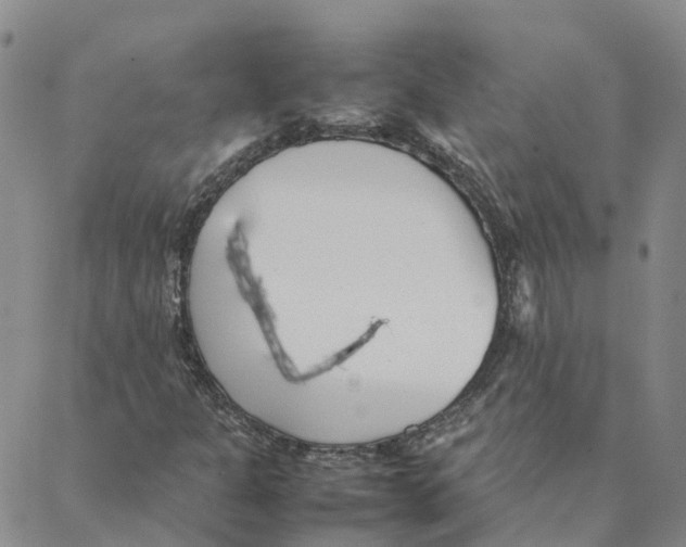 X0000088171301200706121616