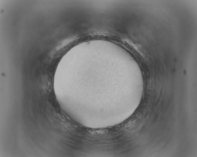 X0000088171303200706121616