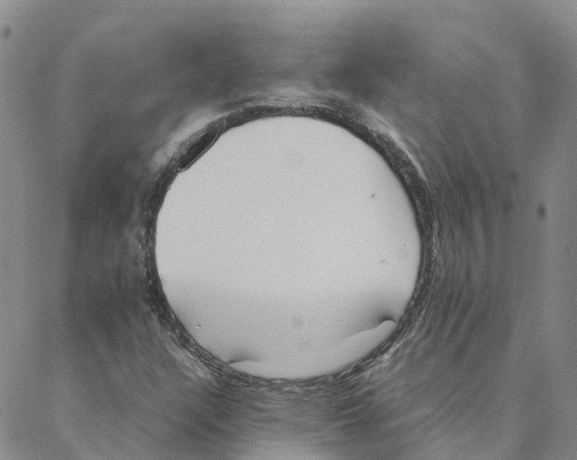 X0000088171304200706121616