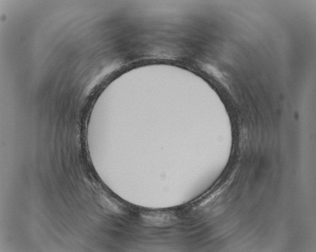 X0000088171307200706121616