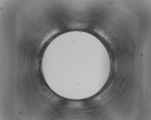 X0000088171309200706121616