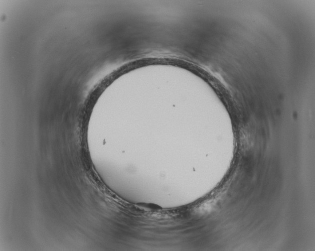 X0000088171311200706121616