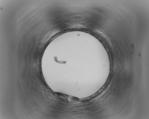 X0000088171313200706121616