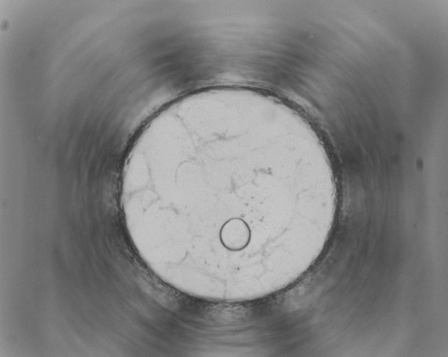 X0000088171314200706121616