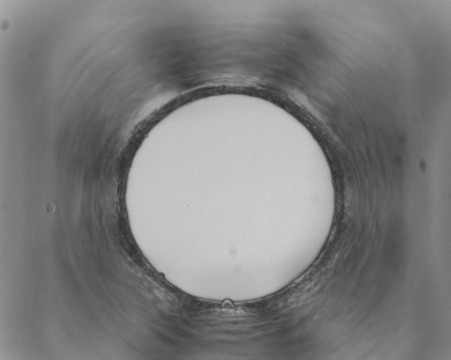 X0000088171315200706121616