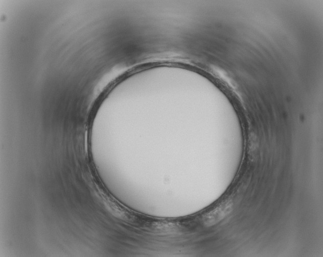 X0000088171320200706121616