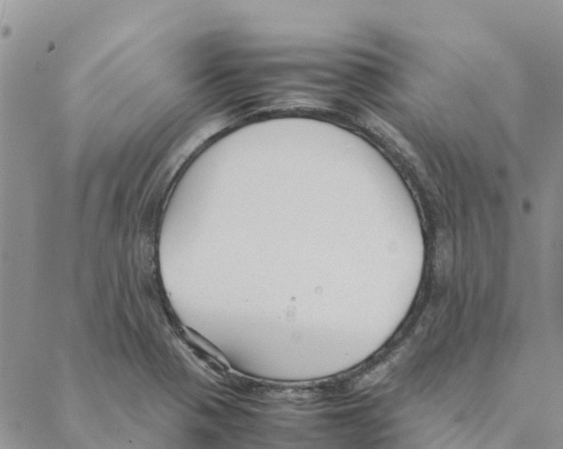 X0000088171321200706121616