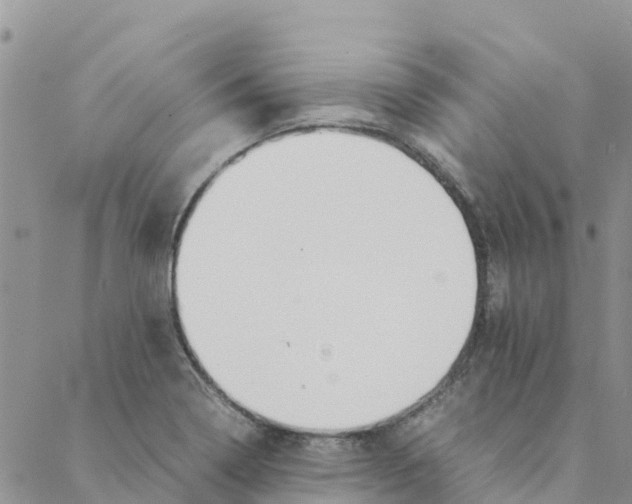 X0000088171322200706121616