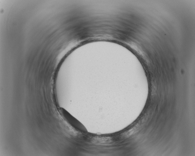 X0000088171325200706121616