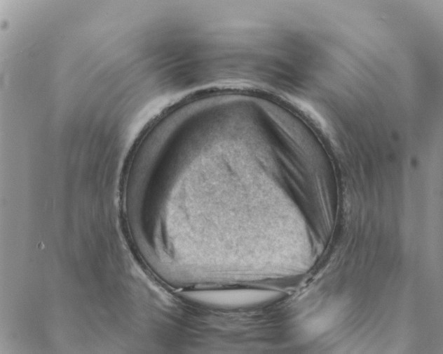 X0000088171327200706121616