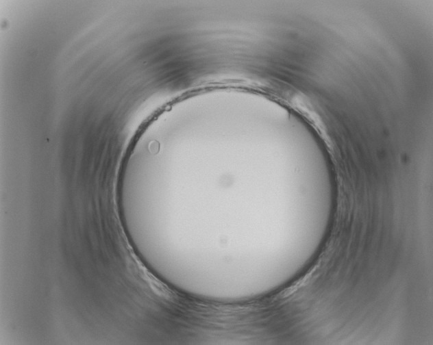 X0000088171328200706121616