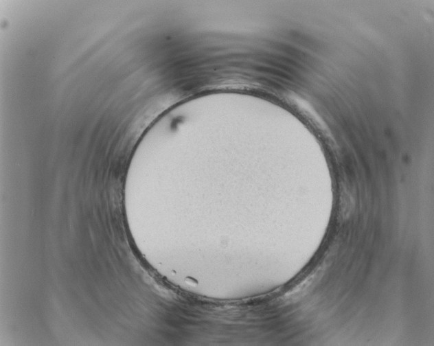 X0000088171329200706121616