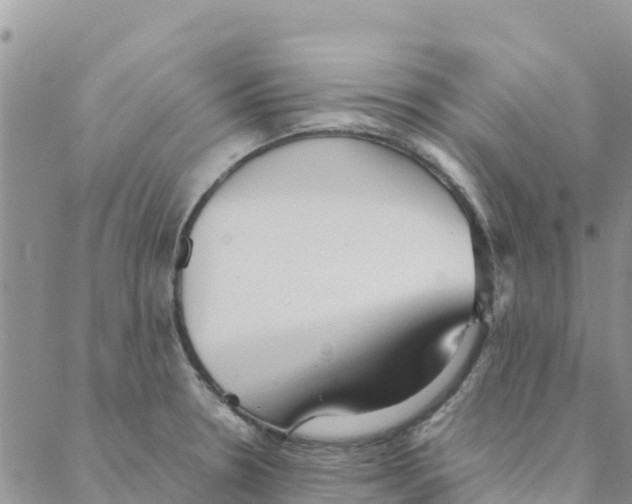 X0000088171330200706121616