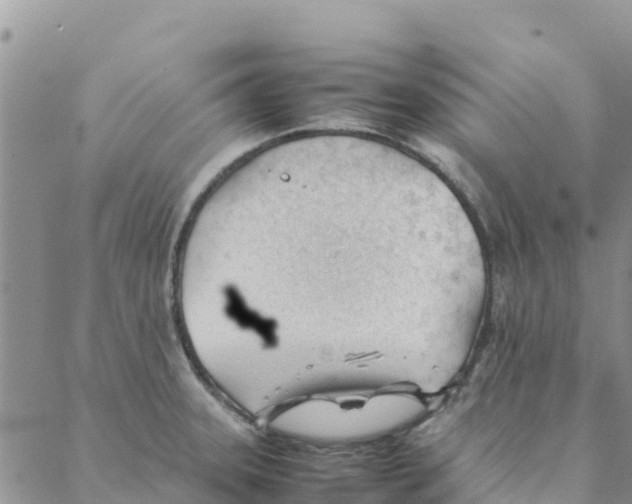 X0000088171331200706121616