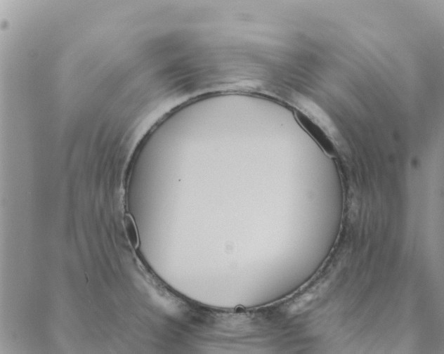 X0000088171332200706121616