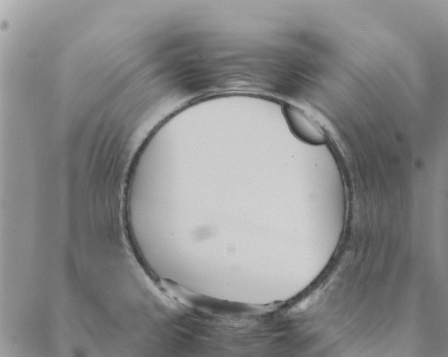 X0000088171333200706121616