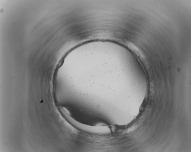 X0000088171334200706121616