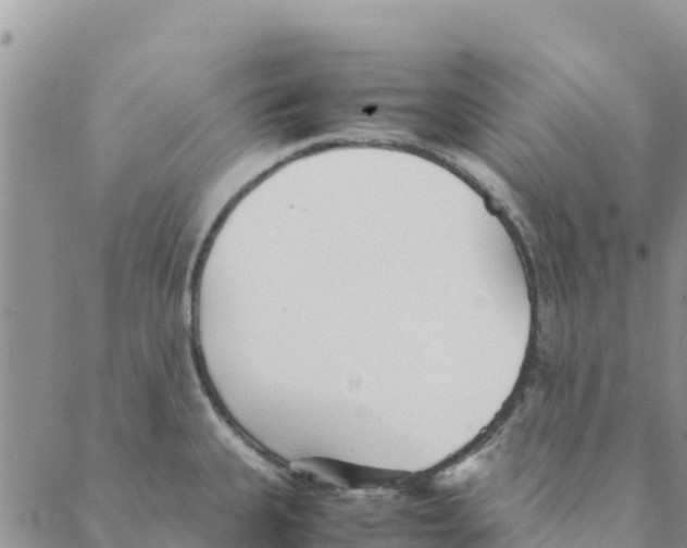 X0000088171335200706121616