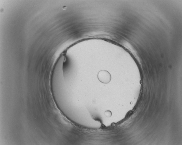 X0000088171336200706121616