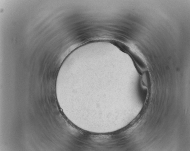 X0000088171337200706121616