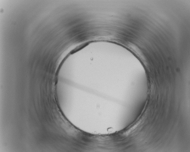 X0000088171340200706121616