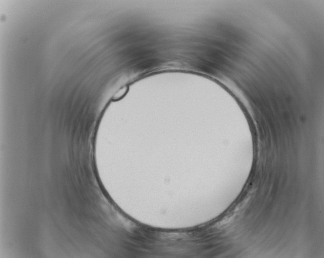 X0000088171341200706121616