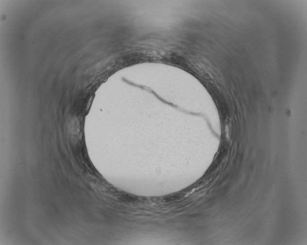 X0000088171347200706121616