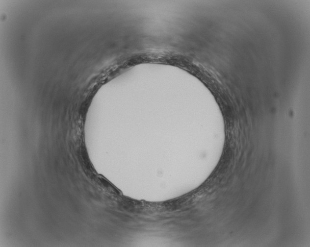 X0000088171349200706121616