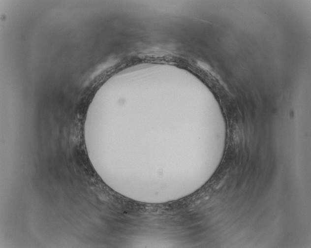 X0000088171350200706121616