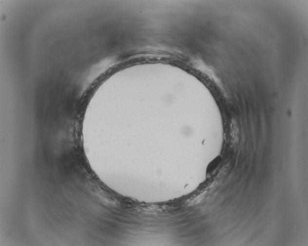 X0000088171352200706121616