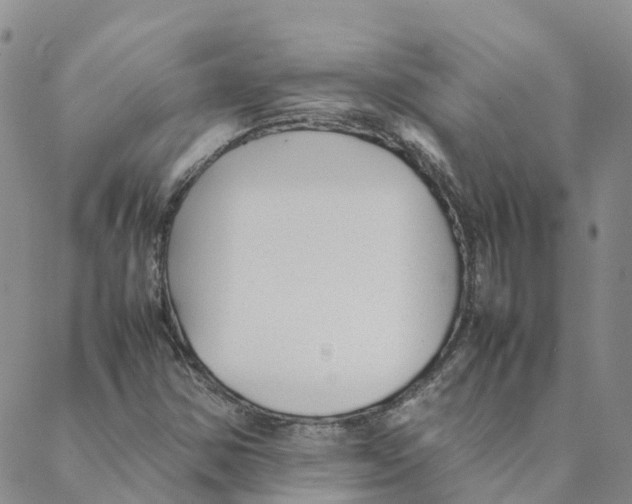 X0000088171354200706121616