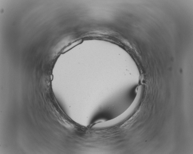 X0000088171355200706121616