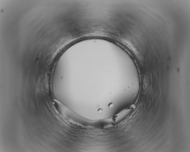 X0000088171356200706121616