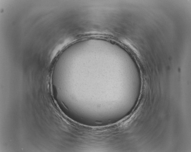 X0000088171357200706121616