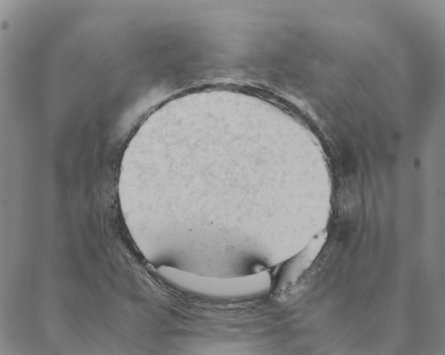 X0000088171359200706121616