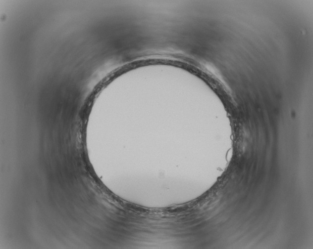 X0000088171360200706121616