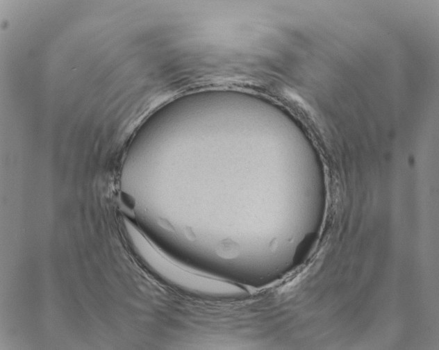 X0000088171361200706121616