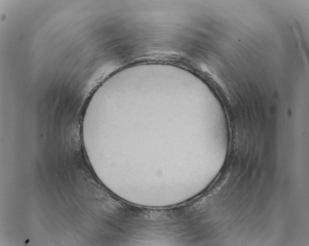 X0000088171362200706121615