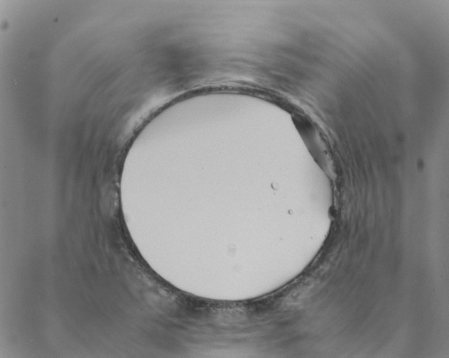 X0000088171363200706121615