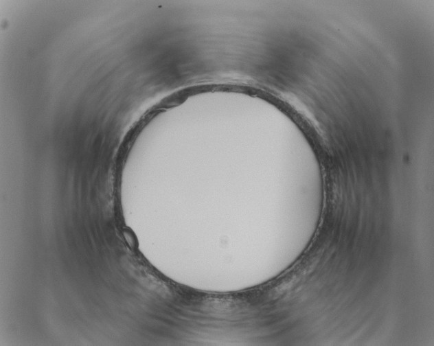 X0000088171364200706121615