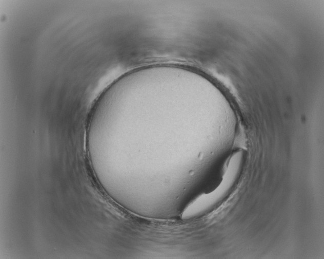 X0000088171365200706121615