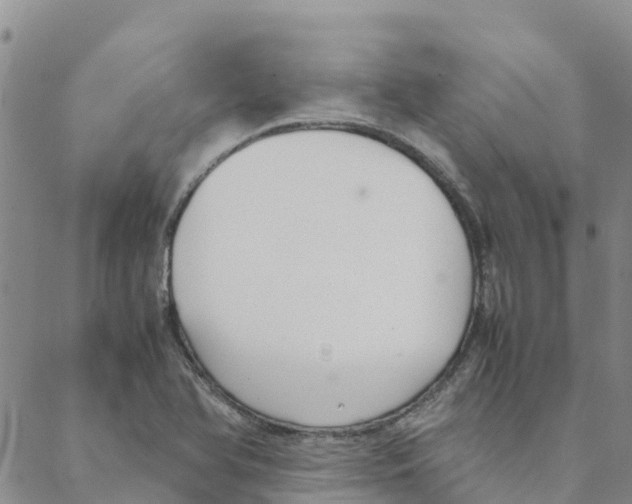 X0000088171366200706121615