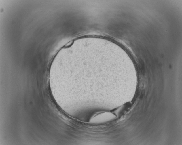 X0000088171367200706121615